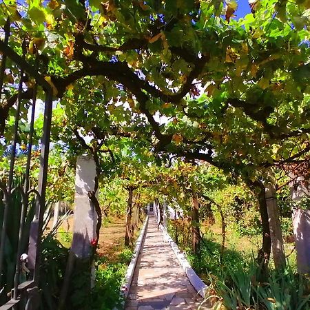 Willa Morin Grey Casa En El Corazon De La Ribeira Sacra Monforte De Lemos Zewnętrze zdjęcie