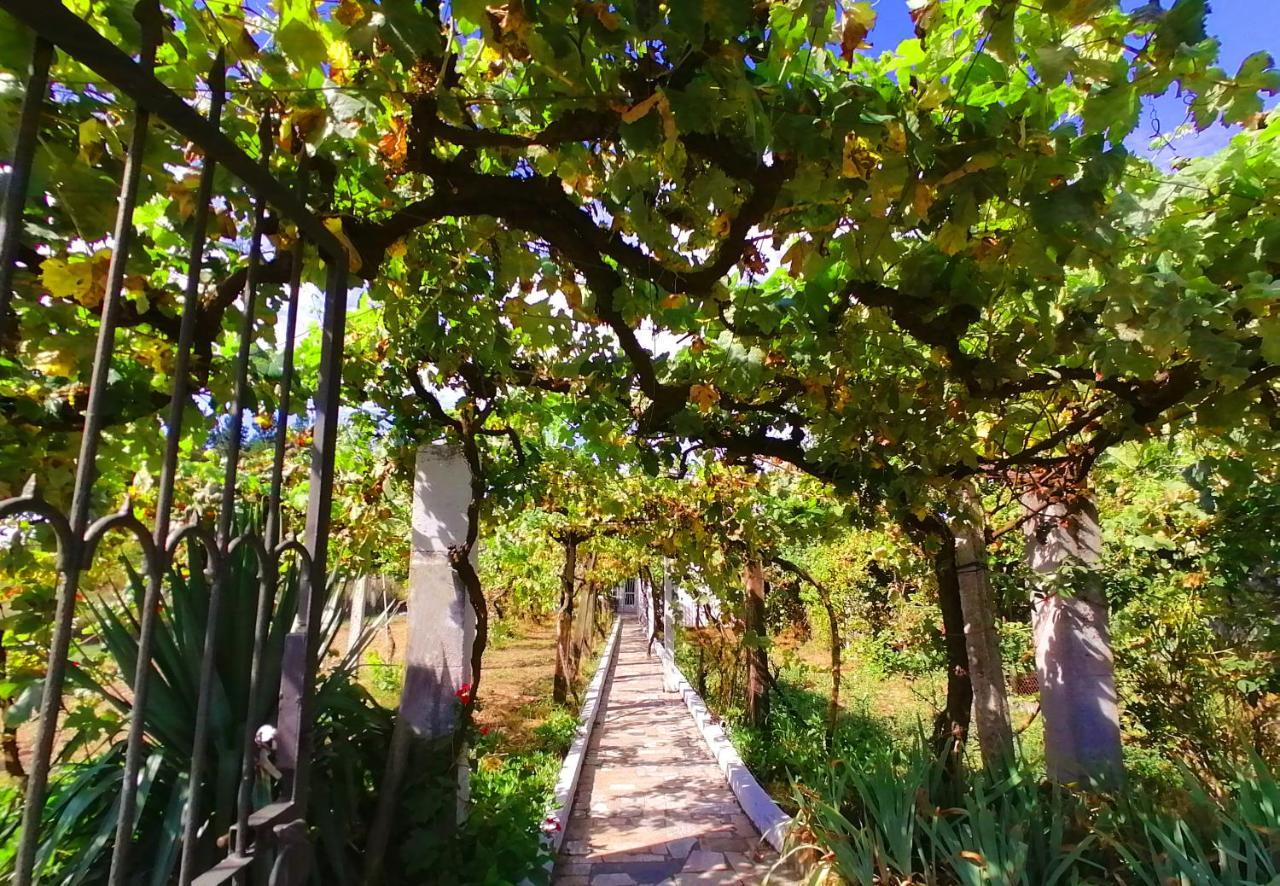 Willa Morin Grey Casa En El Corazon De La Ribeira Sacra Monforte De Lemos Zewnętrze zdjęcie