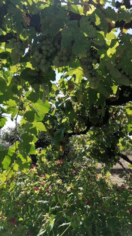 Willa Morin Grey Casa En El Corazon De La Ribeira Sacra Monforte De Lemos Zewnętrze zdjęcie