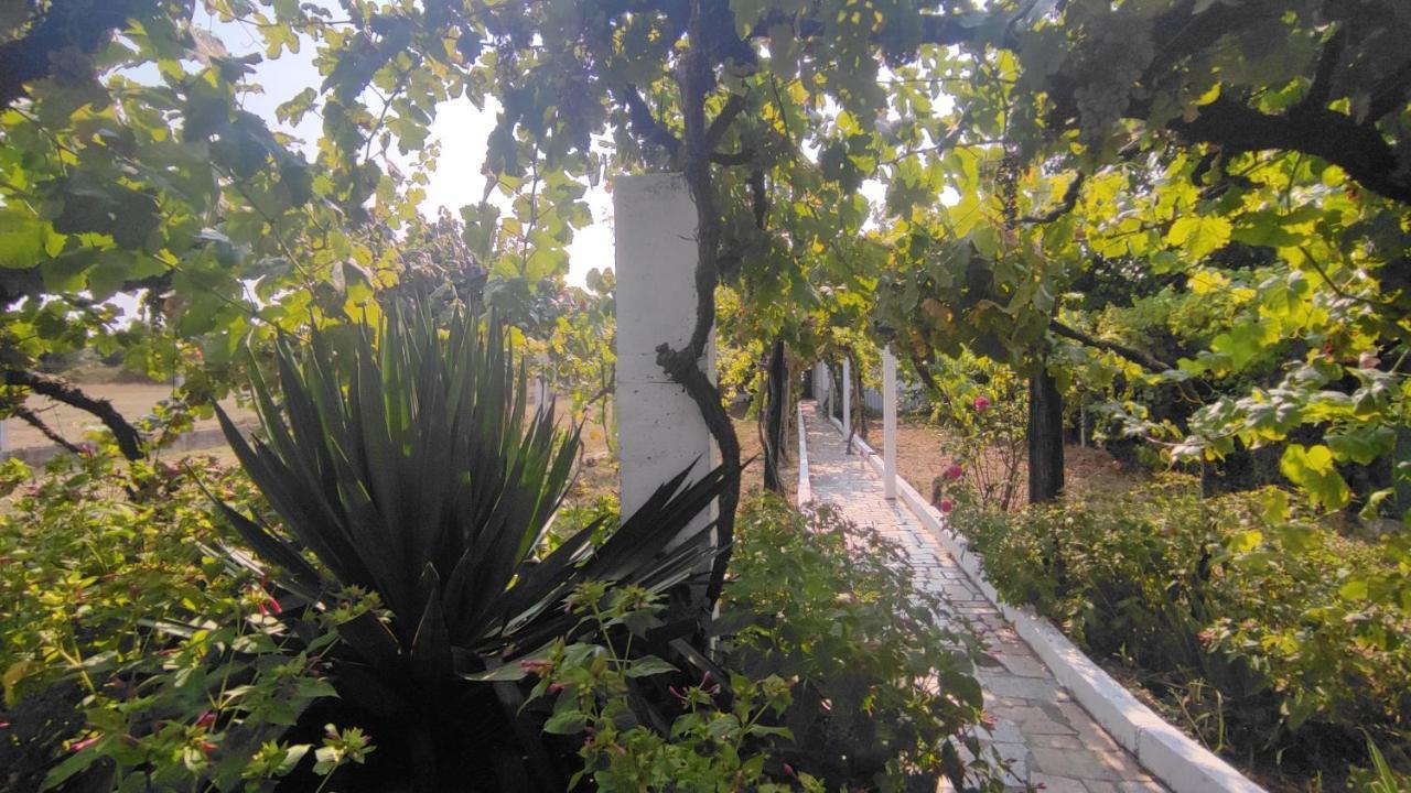 Willa Morin Grey Casa En El Corazon De La Ribeira Sacra Monforte De Lemos Zewnętrze zdjęcie