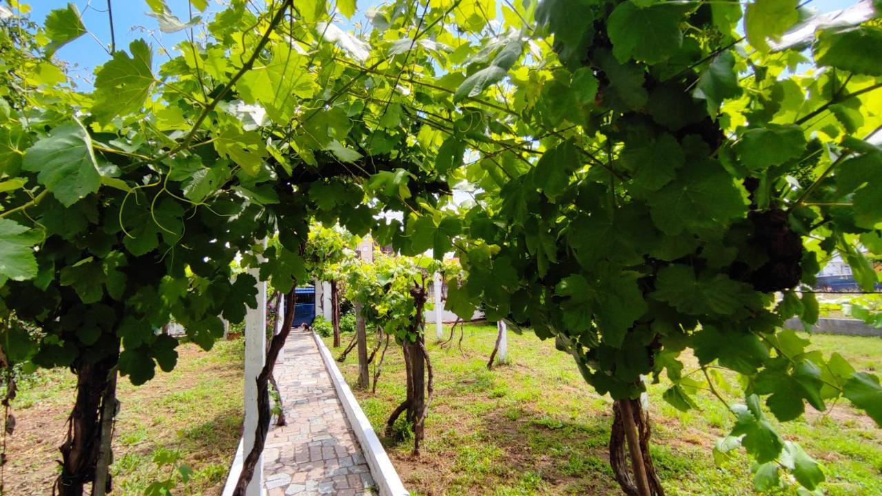 Willa Morin Grey Casa En El Corazon De La Ribeira Sacra Monforte De Lemos Zewnętrze zdjęcie