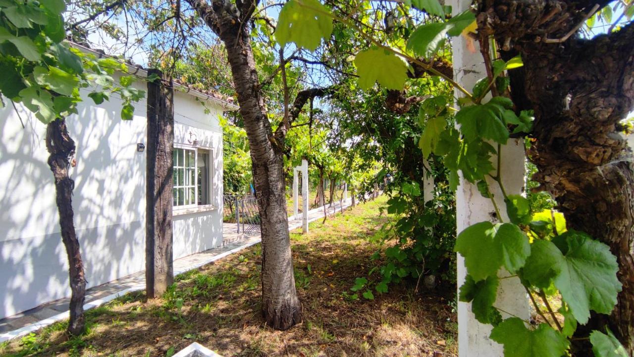 Willa Morin Grey Casa En El Corazon De La Ribeira Sacra Monforte De Lemos Zewnętrze zdjęcie