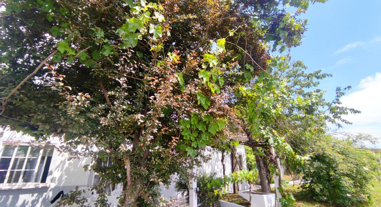 Willa Morin Grey Casa En El Corazon De La Ribeira Sacra Monforte De Lemos Zewnętrze zdjęcie